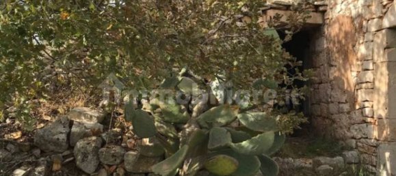 2 chambres Maison à Castellana Grotte, Italy No. 250800 6