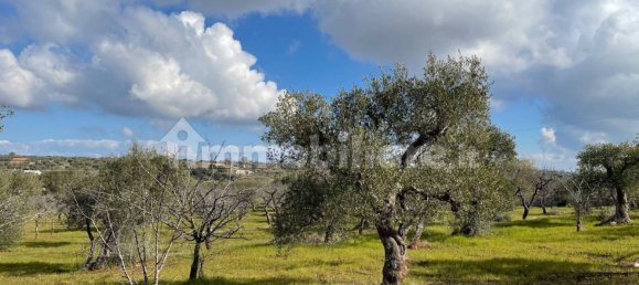 2 chambres Maison à Castellana Grotte, Italy No. 250800 4