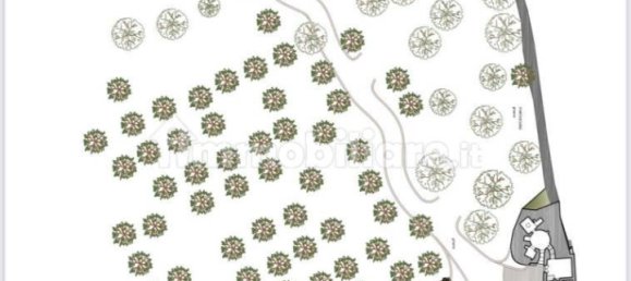 2 chambres Maison à Castellana Grotte, Italy No. 250800 9