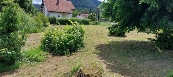 4 غرف نوم منزل في Saint-Michel-sur-Meurthe, France رقم 266714 23