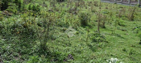 1100m² Land in Cappadocia, Italy No. 343552 4