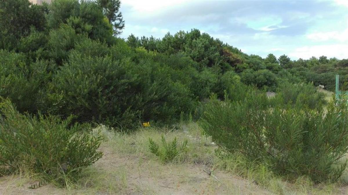  Land in Mar del Plata, Argentina No. 114807