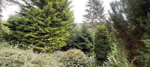 Bungalow de 1 dormitorio en Schwerin, Germany No. 19561 27