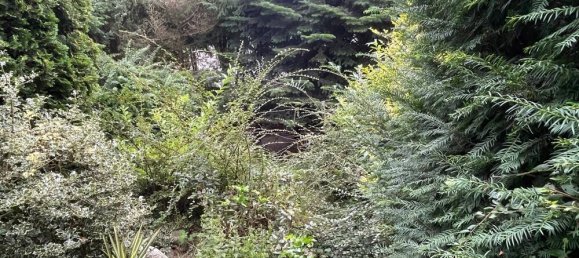 Bungalow de 1 dormitorio en Schwerin, Germany No. 19561 26