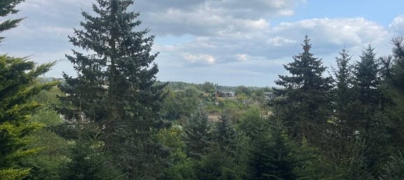 Bungalow de 1 dormitorio en Schwerin, Germany No. 19561 25