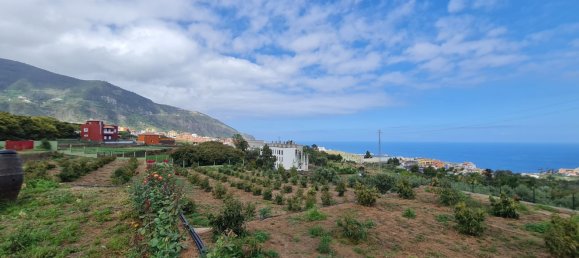 1 bedroom House in Los Realejos, Spain No. 162702 2