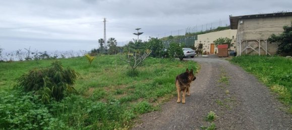 1 bedroom House in Los Realejos, Spain No. 162702 8