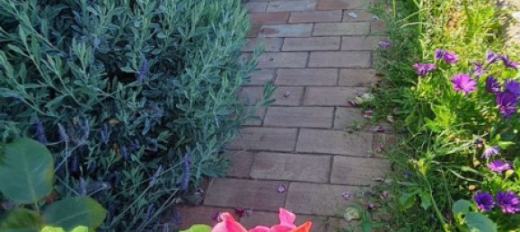 1 bedroom House in Los Realejos, Spain No. 162702 5