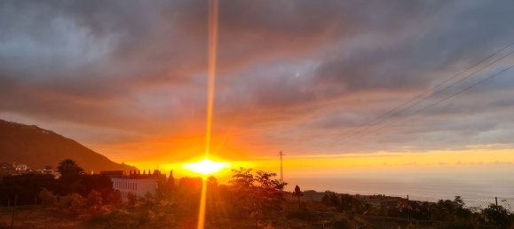 1 bedroom House in Los Realejos, Spain No. 162702 23