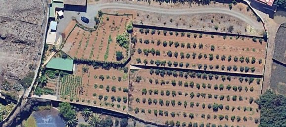 1 bedroom House in Los Realejos, Spain No. 162702 21