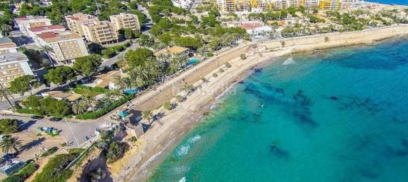 2 bedrooms Duplex in Torrevieja, Spain No. 83324 23