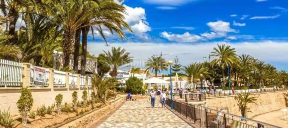 2 bedrooms Duplex in Torrevieja, Spain No. 83324 21