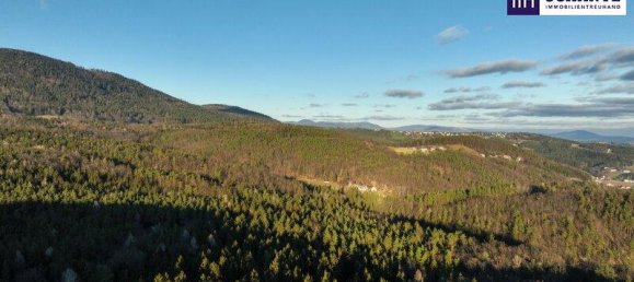 Terrain à Weinitzen, Austria 1001m² No. 146956 6