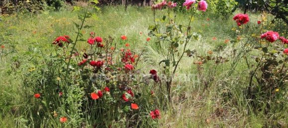 4 chambres Maison à Saint-Jean-de-la-Ruelle, France No. 53262 31
