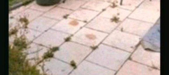 7-Zimmer Stadthaus in Osnabrück, Germany, Nr. 341954 6