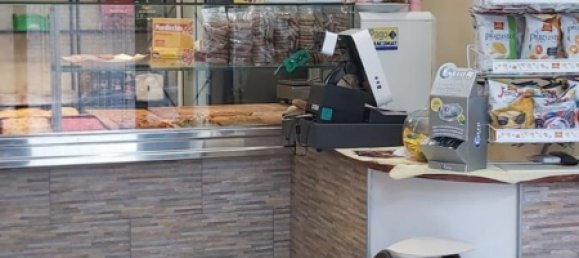 2 rooms Commercial property in Castel Gandolfo, Italy No. 255921 19