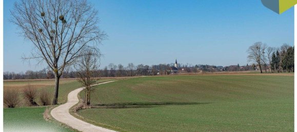 5 rooms Villa in Pasching, Austria No. 181346 11