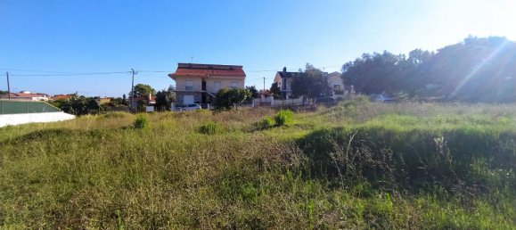 1258m² Land in Tomar, Portugal No. 79609 2
