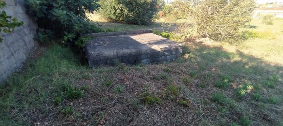 1258m² Land in Tomar, Portugal No. 79609 6