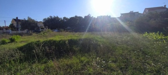 1258m² Land in Tomar, Portugal No. 79609 5