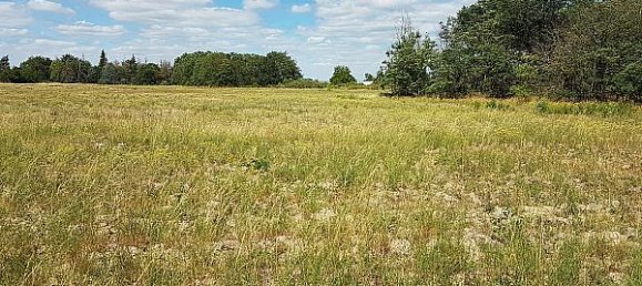  قطعة أرض في Vienne-en-Val, France 524متر مربع رقم 49464 3