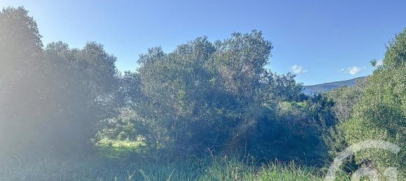 Земельный участок 827м² в Порто-Веккьо, Франция № 77460 3