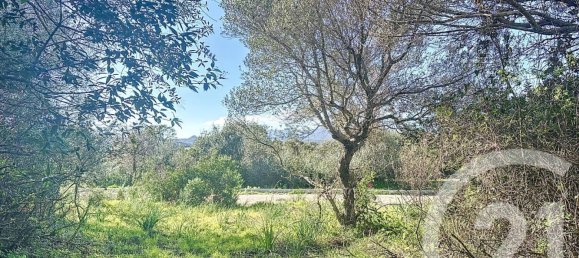 Земельный участок 827м² в Порто-Веккьо, Франция № 77460 4