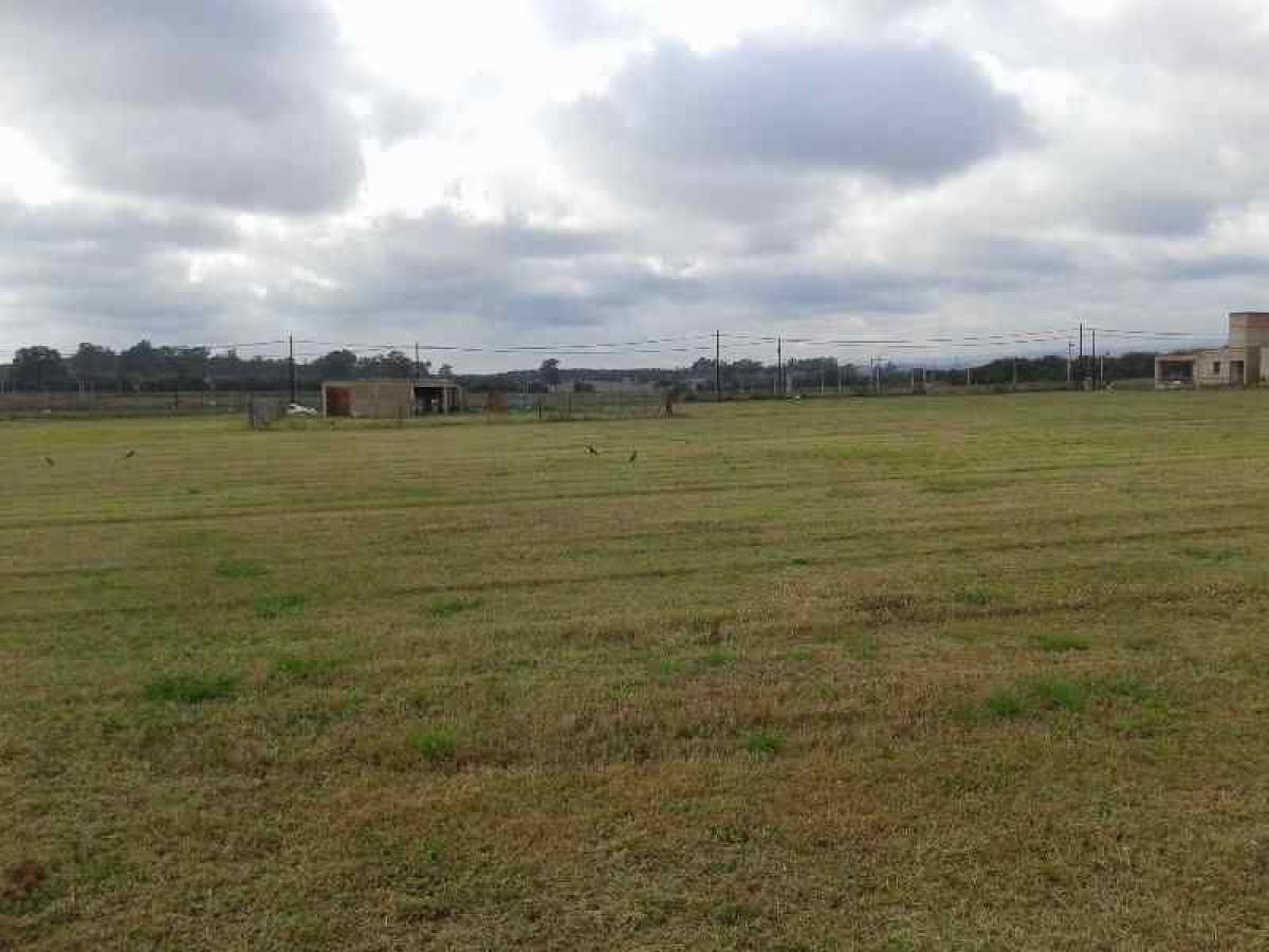  Land in Cordoba, Argentina No. 33430