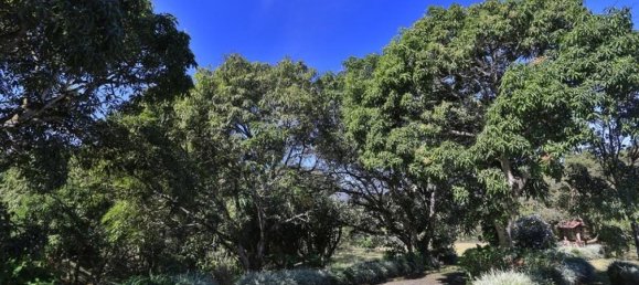 6 غرف نوم منزل في San Jose, Costa Rica رقم 346 6