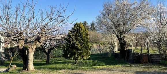 3 rooms Villa in Castana, Italy No. 35904 29