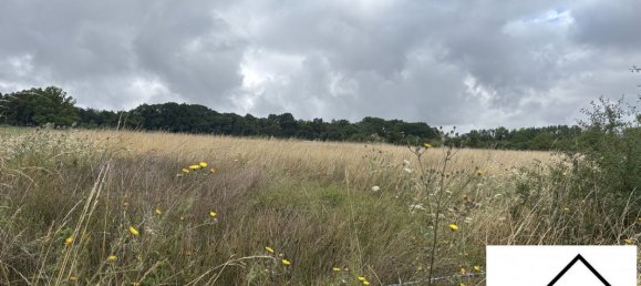 Земельный участок 1900м² в Сарребур, Франция № 341709 3