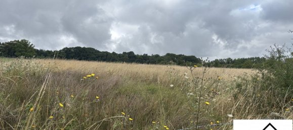 Земельный участок 1900м² в Сарребур, Франция № 341709 2