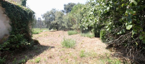 2 Schlafzimmer Villa in Maiorga, Portugal, Nr. 315528 9