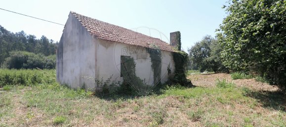 2 Schlafzimmer Villa in Maiorga, Portugal, Nr. 315528 10