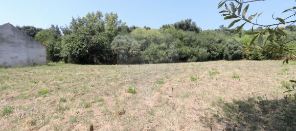 2 Schlafzimmer Villa in Maiorga, Portugal, Nr. 315528 7