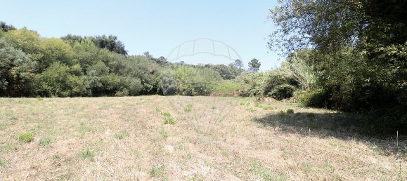 2 Schlafzimmer Villa in Maiorga, Portugal, Nr. 315528 4