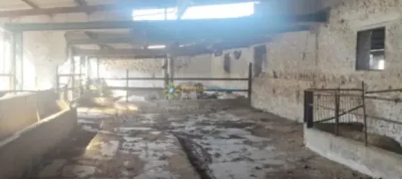  Land in Bellreguard, Spain No. 175950 28