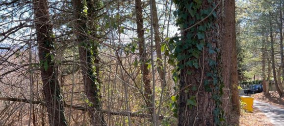  قطعة أرض في Valmozzola, Italy 1000متر مربع رقم 144375 13