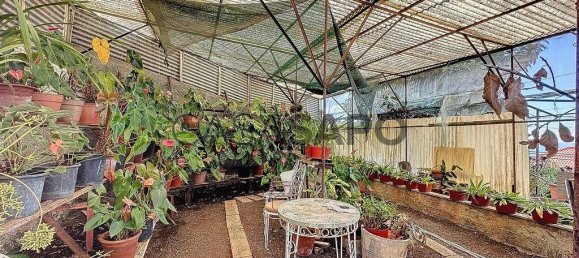 4 Schlafzimmer Haus in Machico, Portugal, Nr. 146157 16