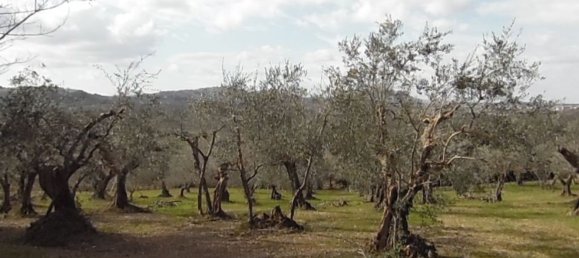 Дом с 6 комнатами в Кориано, Италия № 211455 50