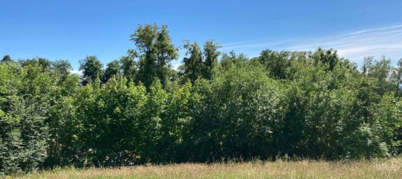 Grundstück in Wartberg ob der Aist, Austria, Nr. 49845 3