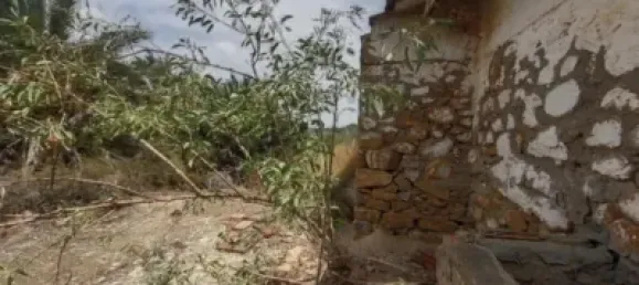 Дом с 6 спальнями в Эль-Реаленго, Испания № 134841 2