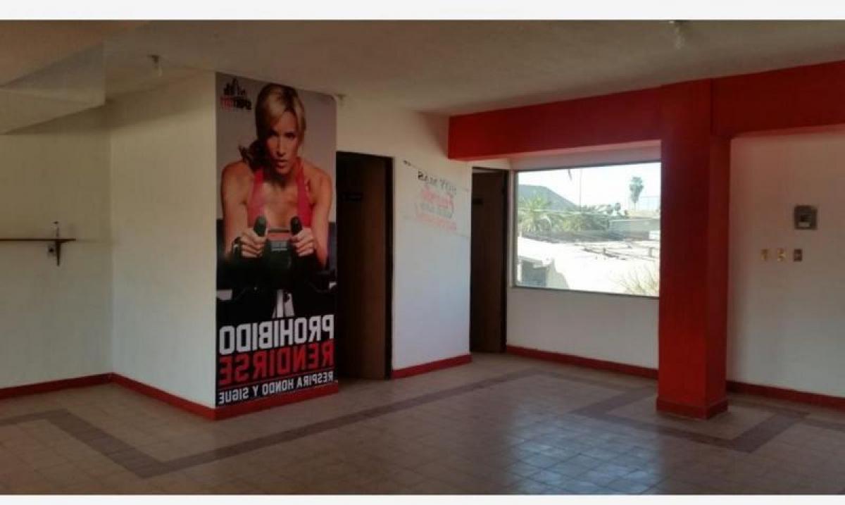  Building in Playa Vicente, Mexico No. 202182