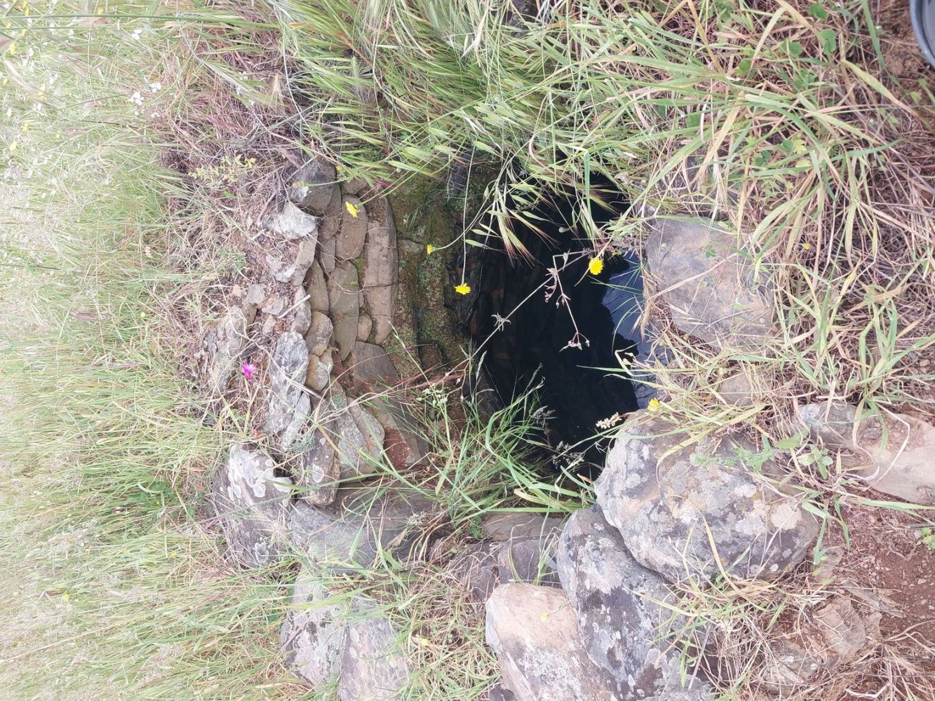 Terreno em Odeleite, Portugal N.º 200780