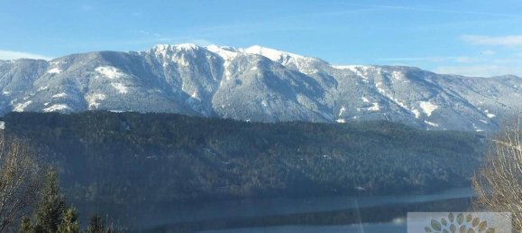  Land in Millstatt am See, Austria No. 212131 8