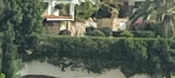 3 Schlafzimmer Villa in Paphos, Cyprus, Nr. 17242 3