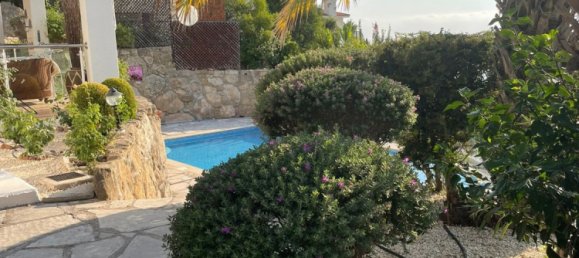 3 Schlafzimmer Villa in Paphos, Cyprus, Nr. 17242 8