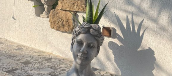 3 Schlafzimmer Villa in Paphos, Cyprus, Nr. 17242 7