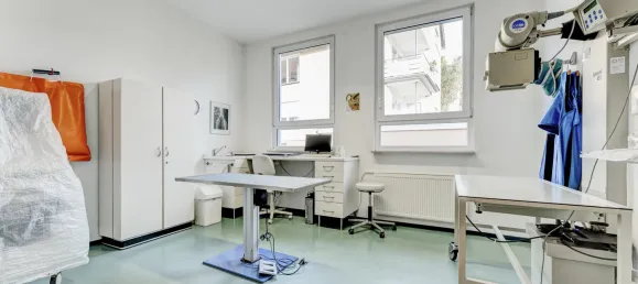 Moradia em banda T5 em Ortenaukreis, Germany N.º 38246 6