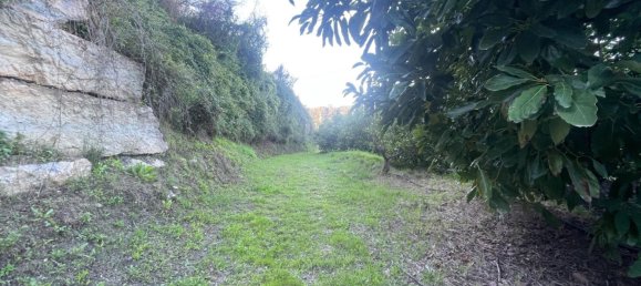 Casa de 1 dormitorio en Estepona, Spain No. 145628 13